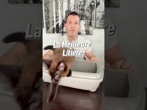 La meilleure litière!                                    #chat #litière #cat #pets