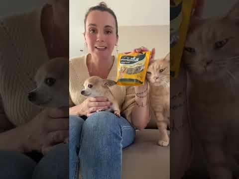 La nourriture de mes animaux #short #shortvideo