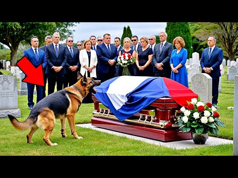 Le Chien Aboie Farouchement Devant le Cercueil de son Maître. Quand Ils l'Ouvrent, la Foule Crie!