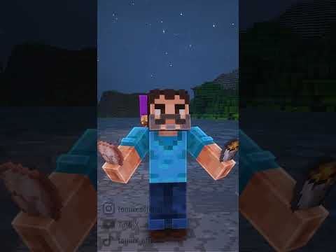 Le film Minecraft dans Minecraft…