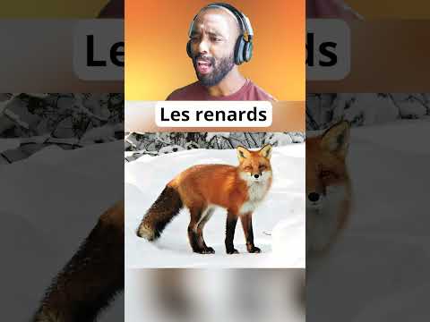 Les animaux atteints de la rage #nature #animaux #omg