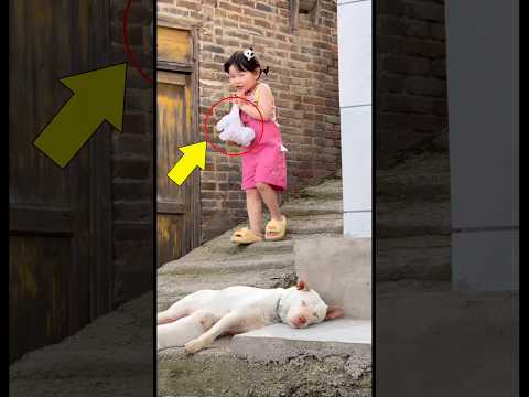 Little Girl Playing with Baby Dogs 🤫🐶 #shorts