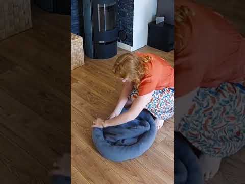 Make a Super Easy Pet Bed from an Old Blanket #pets #diy #doglover