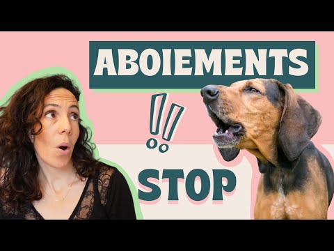 Méthodes pour STOPPER les aboiements de son chien !