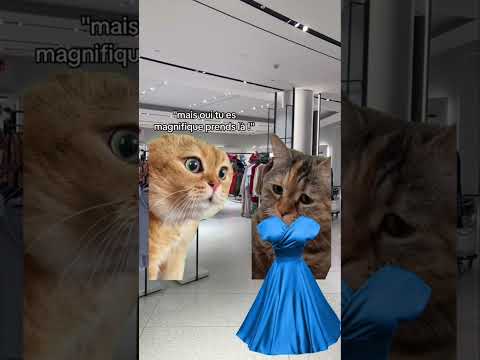 Moi et ma copine au magasin 🤣 #chat #meme #drole