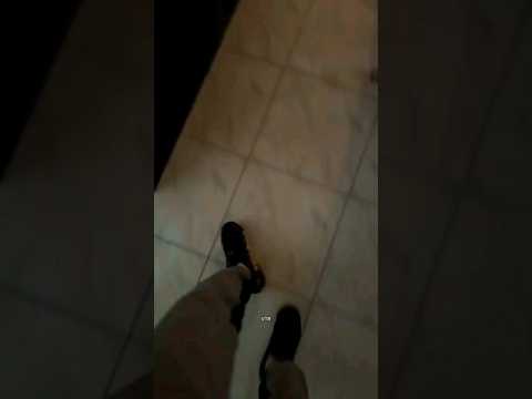 mon chien aboie bizarrement #funny