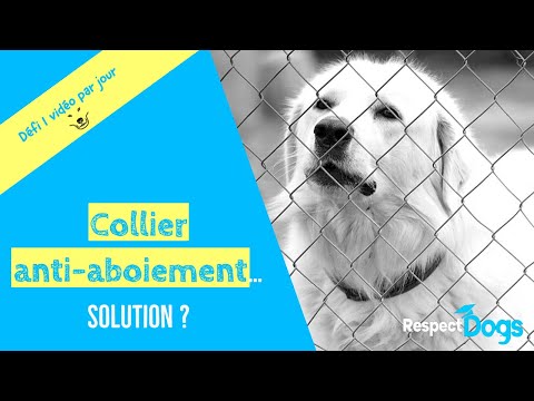 Mon CHIEN ABOIE quand je pars !