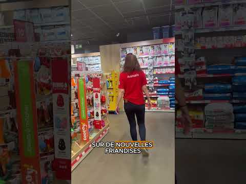 Mon chien fait son shopping chez Animalis 🐶❤️