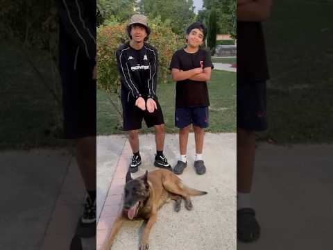 Mon frère a adopté le chien le plus dangereux au monde 😱🐕