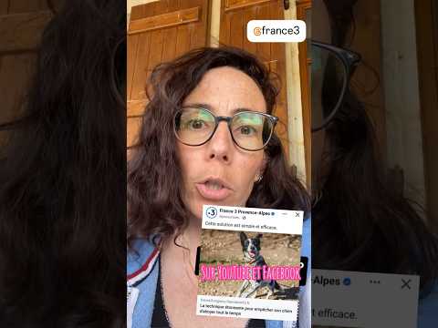 Ne fais surtout pas ça si ton chien aboie !!!! #educationchien #chien