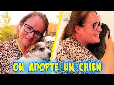 ON ADOPTE UN CHIEN DE LA RUE — ALICYA EST EN PLEURE