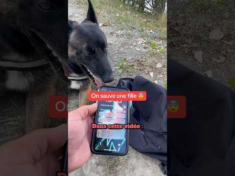 Partie 2 : heureusement que Nino était là 😨 #nino #malinois #dog #chien #official #guard #lac