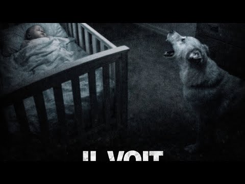 Pourquoi ce chien aboie-t-il dans le vide pendant que le bébé dort ?