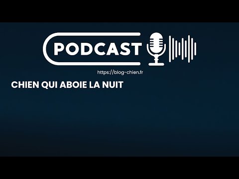 Pourquoi Mon Chien Aboie la Nuit ? 🌙 | Solutions Simples et Efficaces