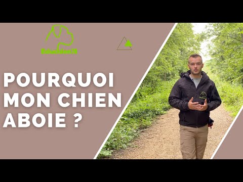 Pourquoi mon chien aboie ?  – Réponse commentaire EDUCHIEN78