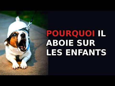 Pourquoi mon chien aboie sur les enfants ? Explication scientifique