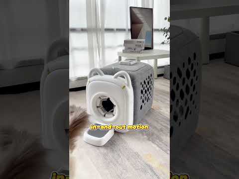 Ragdoll Cat LOVES AutoComb – Grooming Made Easy! #pawswing #catspaw #pets #autocomb #amazonfinds