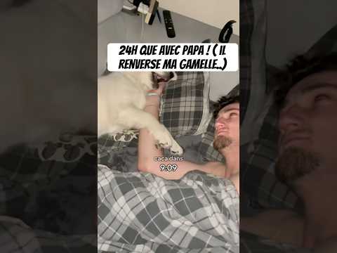 Résume de la vidéo : 💤🍽️💩🦮 #goldenretriever #chien #puppy #amour #animaux
