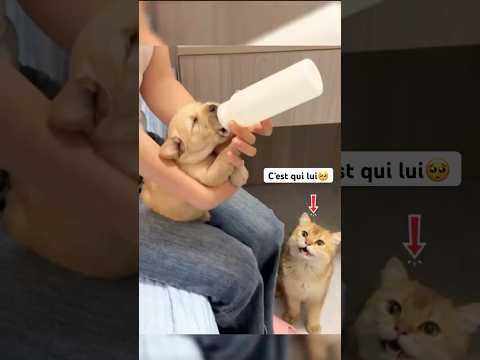 Ses petits cris m’ont arrêté net 😭