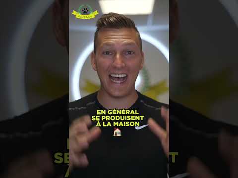 Si votre chien aboie sans cesse, ne désespérez pas 🐶🔊