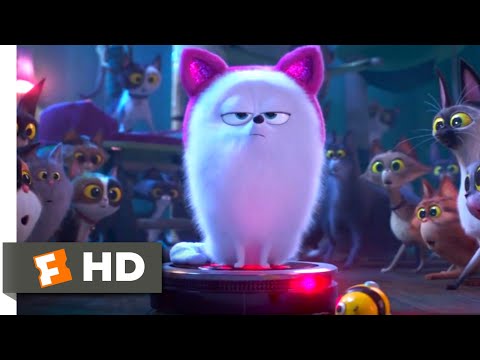 The Secret Life of Pets 2 – Dog vs. Cats Scene (5/10) | Movieclips