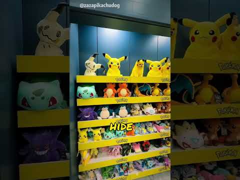 This dog is an absolutely adorable Pikachu