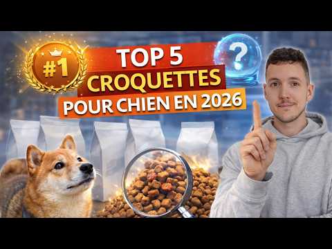 Top 5 des meilleures croquettes pour chien en 2026