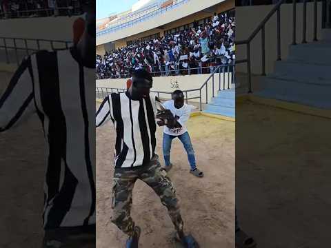 touss balla gaye bou nékh