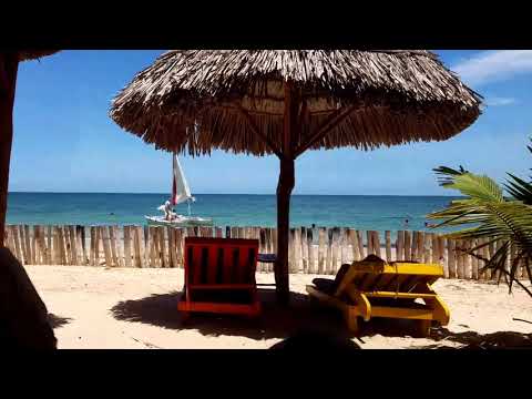 Travel to Madagascar – Voyage à Madadagascar