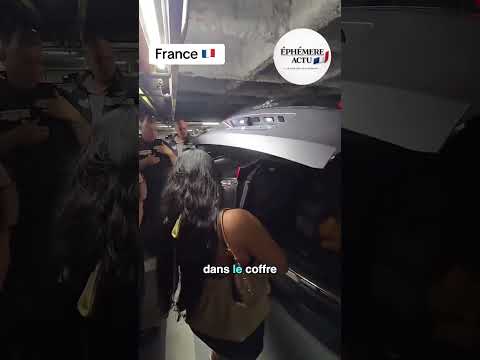 Un chien enfermé 3 heures dans un coffre… en pleine chaleur 🥵