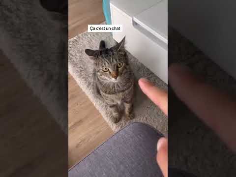 UNE VIDÉO SIMPLE ET EFFICACE 😂😂😂