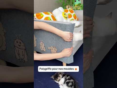Votre chat détruit votre canapé ? 😳 #cat #cats #pets #accessoireschat