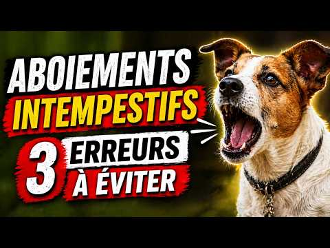 Votre chien aboie ? Vous faites sûrement cette erreur !