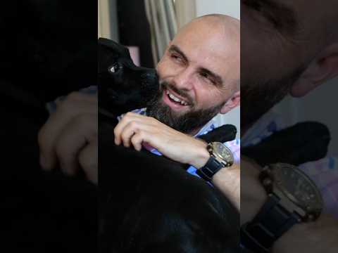 Vous DEVEZ faire ça pour éduquer ce chien !
