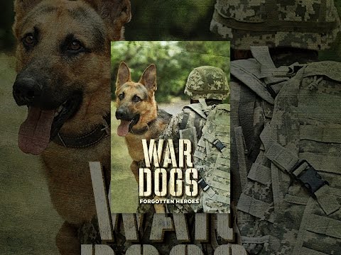 War Dogs