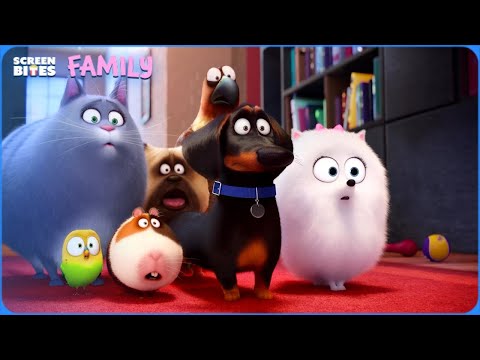 What Your Pets REALLY Do When You Leave! | Screen Bites Family