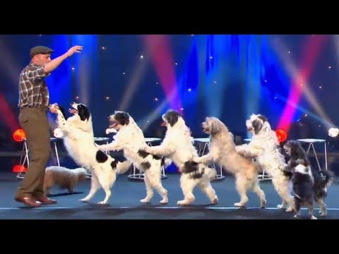 Wolfgang Lauenburger – Dressage de Chiens – Le Plus Grand Cabaret Du Monde