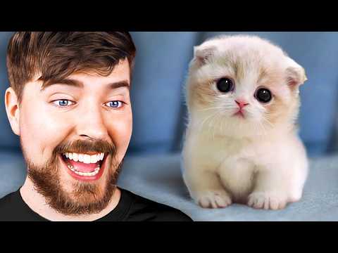 World's Cutest Animals!