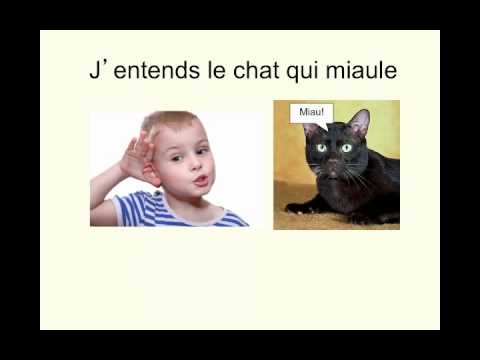 Y a un chat, Charlotte Diamond