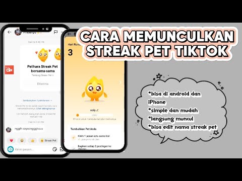 cara memunculkan streak pet di tiktok || fitur streak pet tiktok 2025