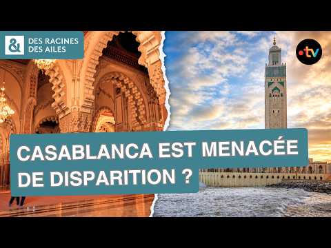 Casablanca va perdre ses plus beaux bâtiments ? | Documentaire | France TV