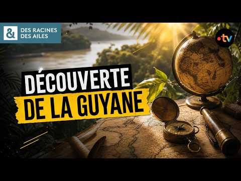 Comment les premiers explorateurs ont découvert la Guyane ? | Documentaire | France TV