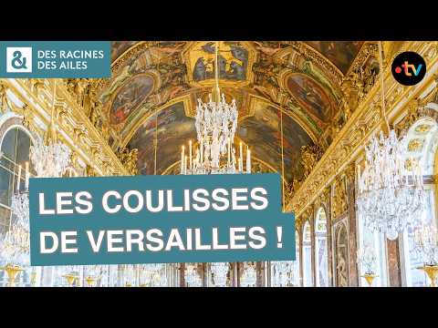 La Galerie des Glaces et ses secrets retrouvés ! | Documentaire | France TV