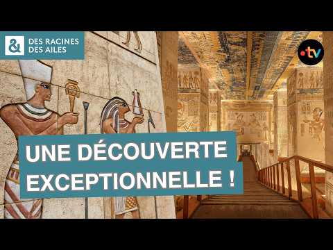 Les archéologues ouvrent une tombe oubliée depuis des millénaires ! | Documentaire | France TV