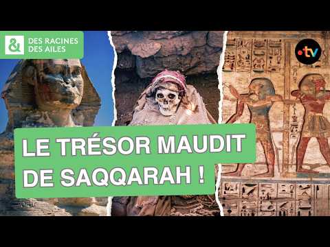 Pourquoi cette découverte terrifie les archéologues ? | Documentaire | France TV