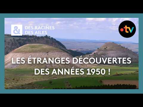 Pourquoi la Lozère fascine les géologues ? – Des racines et des ailes – Documentaire France TV