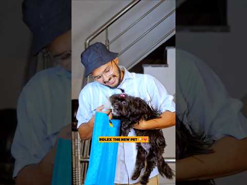 Rolex The New Pet 🐶✨️ Wait For Last ❣️ #shorts #pet #indianfamily #doggie #cute