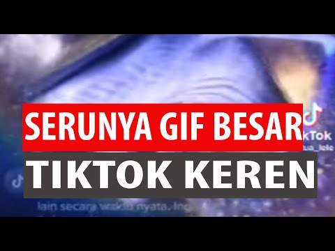 Singo edan gift terbesar pada tiktok