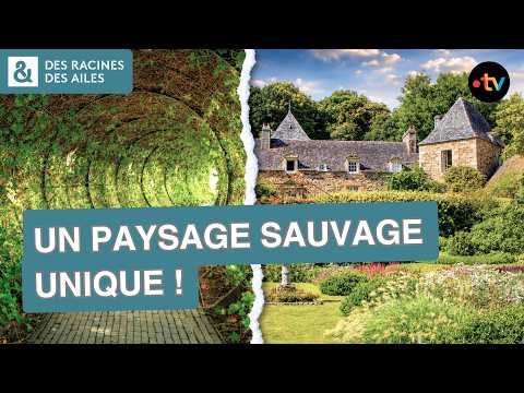 Un jardin secret parmi les plus beaux du monde ! | Documentaire | France TV