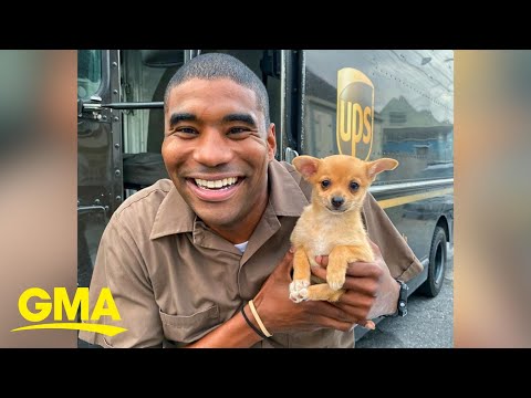 UPS driver takes the cutest selfies with all the dogs on his Friday delivery routes l GMA Digital